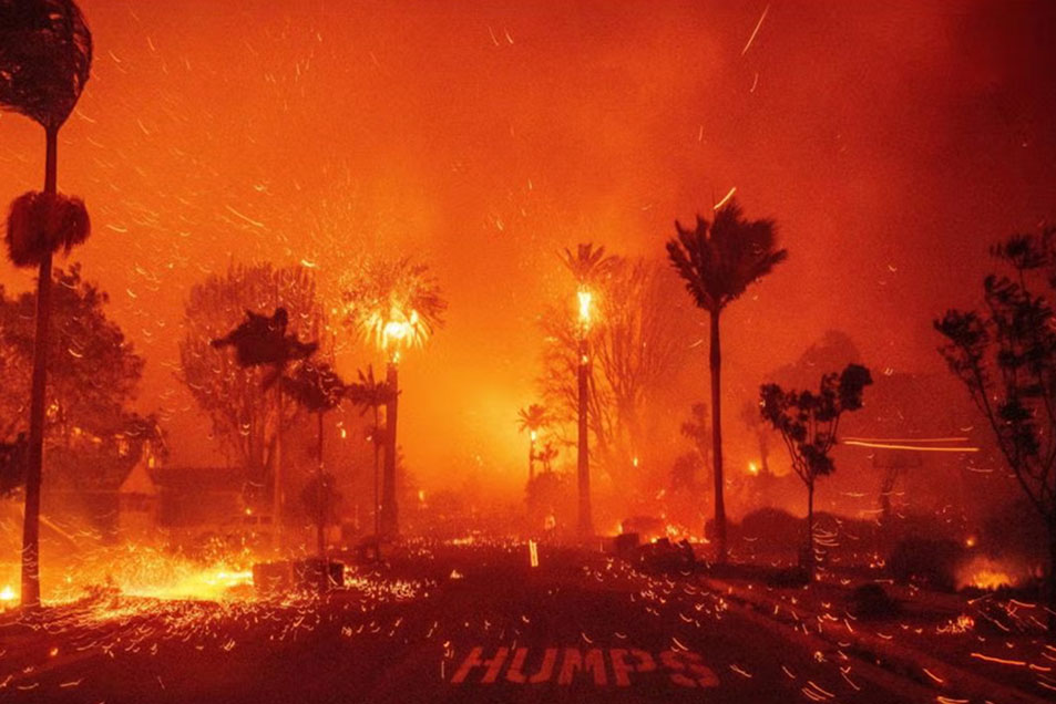 Fire blazes through street lined with palm trees